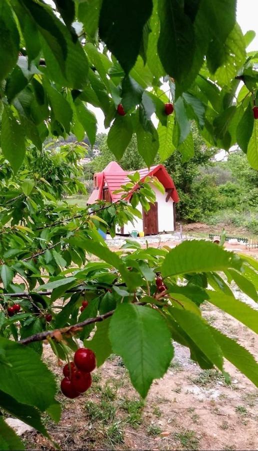 فندق Krka Fairytale Little Castle سكرادين المظهر الخارجي الصورة